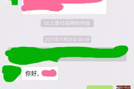 洪泽为什么选择专业追讨公司来处理您的债务纠纷？